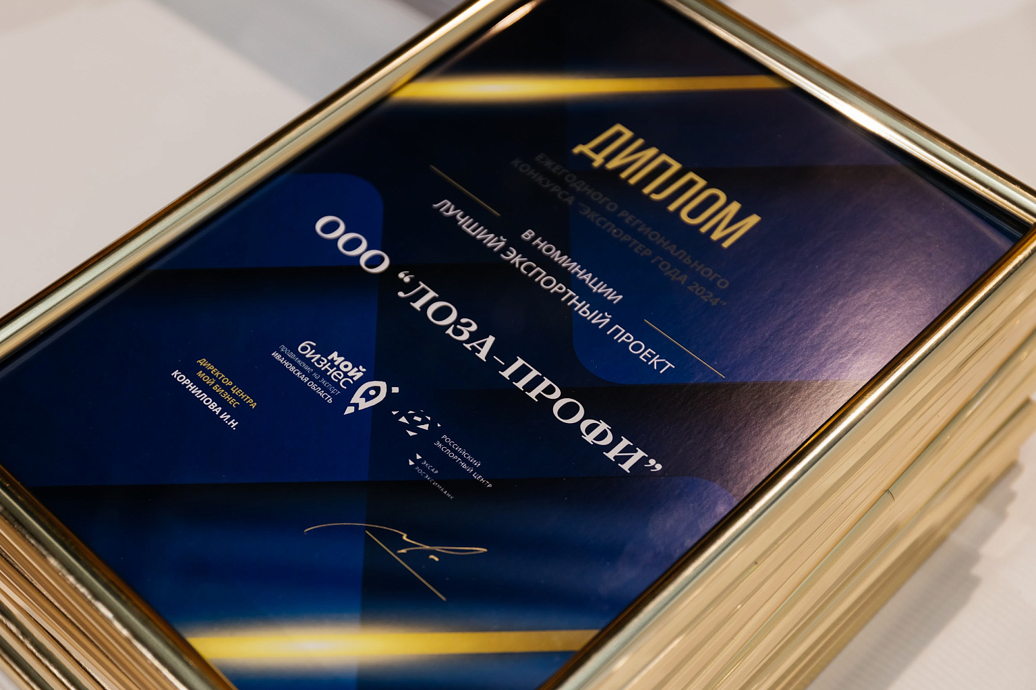 "Глайдер" признан лучшим экспортным проектом